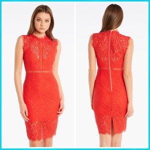 NWT Bardot Lace Panel Dress In Lipstick